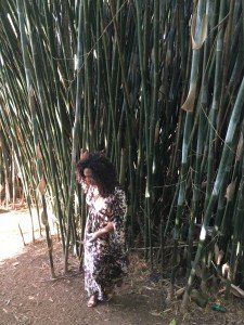 Eliane junto ao bambuzal no fundo do quintal, domínio de Iansã