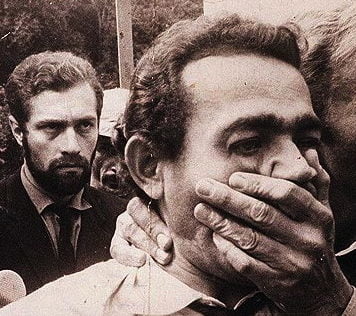 O sertão está virando mar