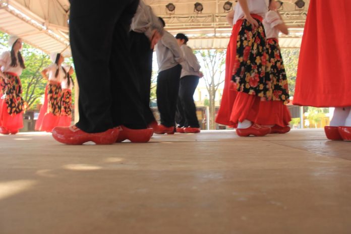 Lá vem a temporada das flores