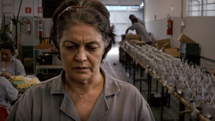 As cataratas nos olhos de Rosália