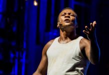 João do Vale: a voz do povo revoou