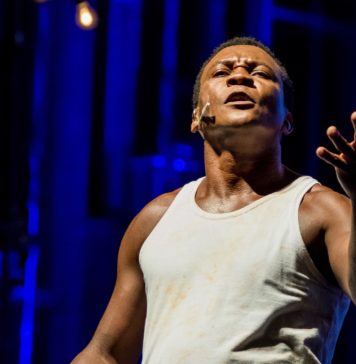 João do Vale: a voz do povo revoou