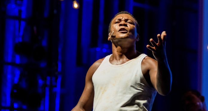 João do Vale: a voz do povo revoou