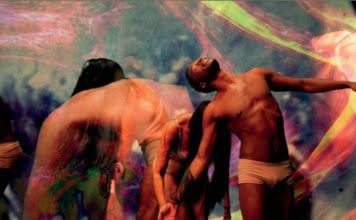 O Rito do Amor Selvagem