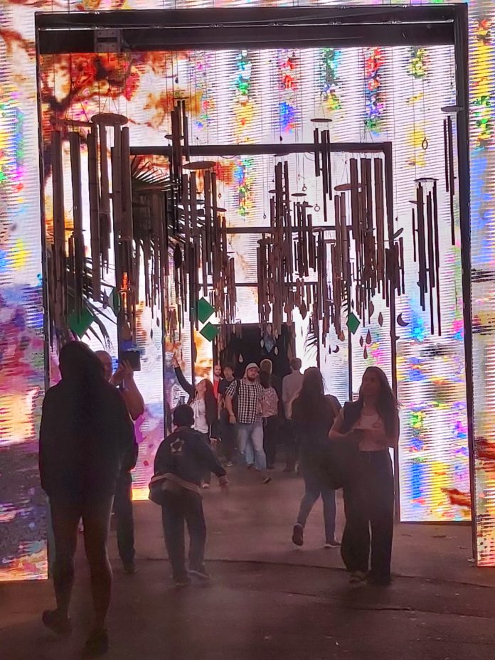 Revelando SP, os interiores de toda a gente Revelando SP