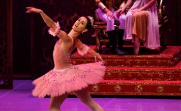 O Quebra-Nozes da Cisne Negro Cia de Dança Cena de Quebra-Nozes