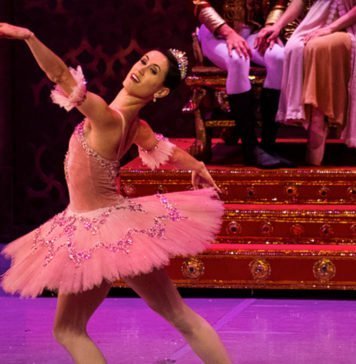 O Quebra-Nozes da Cisne Negro Cia de Dança Cena de Quebra-Nozes