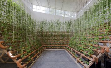 Primeira individual marca nova fase da Bienal de São Paulo Ximena Garrido-Lecca