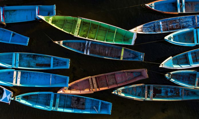 Duas exposições fotográficas no MAM-Bahia Borboletas do Velho Chico, em exposição no MAM-Bahia