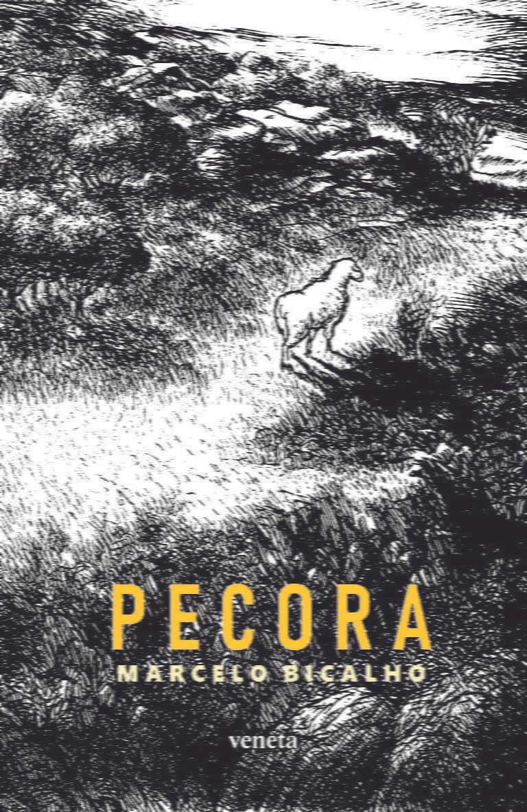 Pecora. Capa. Reprodução