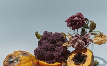 Governo do Maranhão lança edital para apresentações culturais pela internet Rastilho. Capa. Reprodução