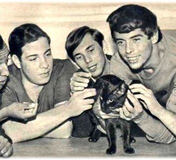 Renato Barros, o beatlemaníaco da jovem guarda Renato e Seus Blue Caps