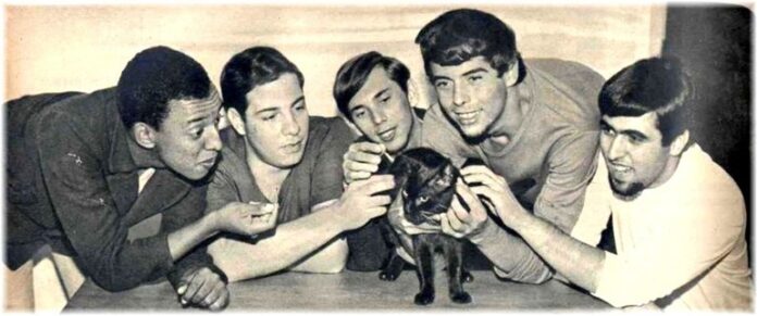 Renato Barros, o beatlemaníaco da jovem guarda Renato e Seus Blue Caps