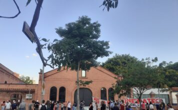 Governo “afina” na hora de explicar rolo compressor na cultura ao Congresso