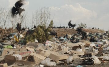 Catadores e/m um olhar consciente Catadores: da invisibilidade ao protagonismo. Frame. Reprodução