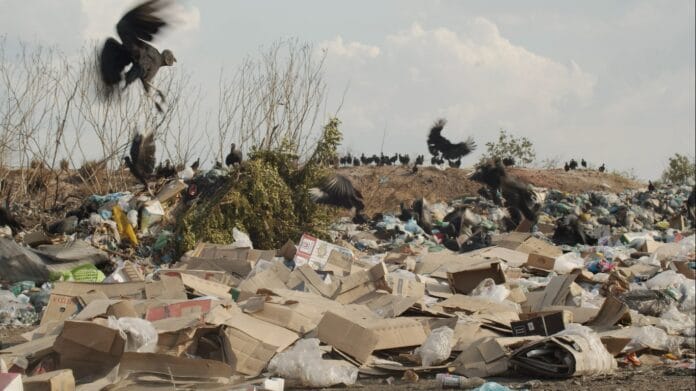 Catadores e/m um olhar consciente Catadores: da invisibilidade ao protagonismo. Frame. Reprodução