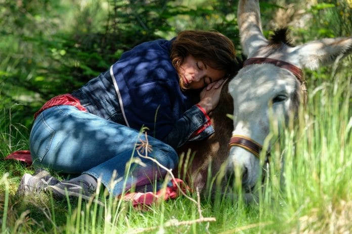 Tinha um burro no meio do caminho Minhas férias com Patrick. Foto: Julien Panié/ Divulgação