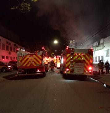 Após fogo na Cinemateca, governo desengaveta edital para escolher gestor para a instituição