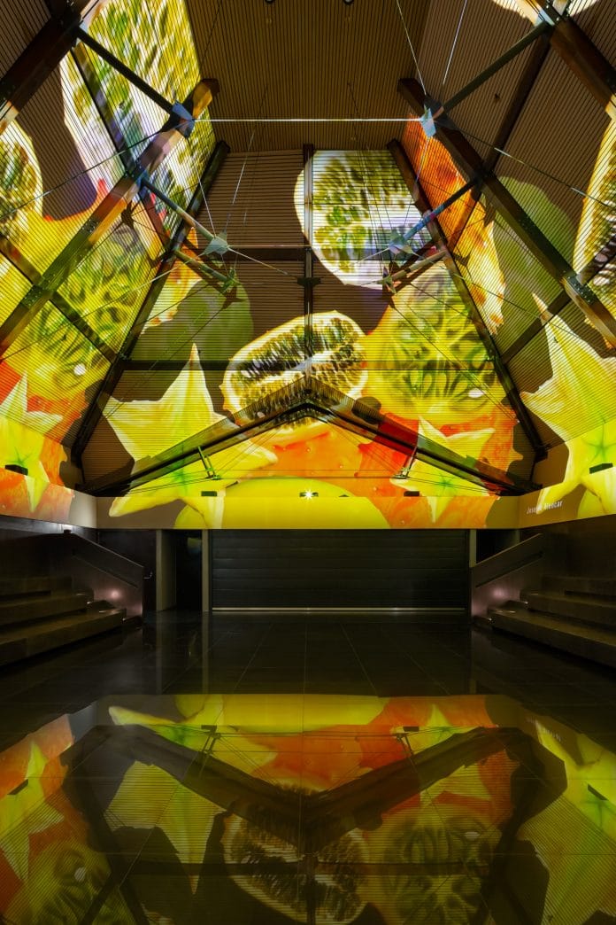 Mario Frias declara guerra à Fundação Roberto Marinho