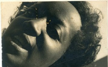 Sueli Carneiro e a árvore da sabedoria