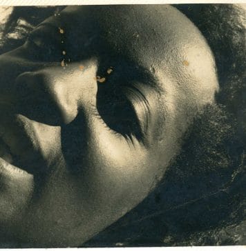 Sueli Carneiro e a árvore da sabedoria