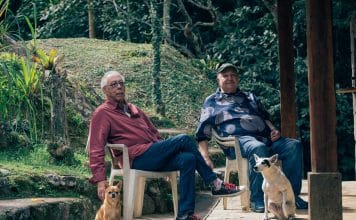 O balanço de Jards Macalé e João Donato Foto: Joao Atala. Divulgação