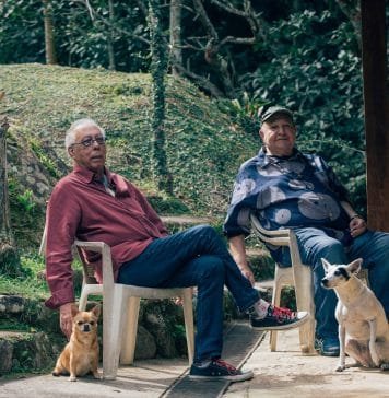 O balanço de Jards Macalé e João Donato Foto: Joao Atala. Divulgação