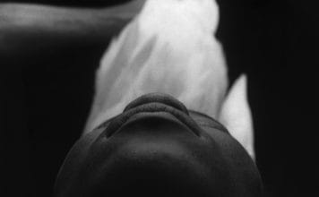 As visões da família Cravo