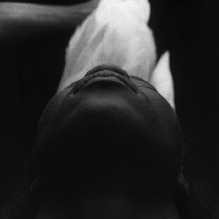 As visões da família Cravo