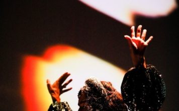 Marisa Monte vira Doutora Honoris Causa pela USP