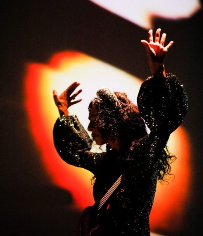 Marisa Monte vira Doutora Honoris Causa pela USP