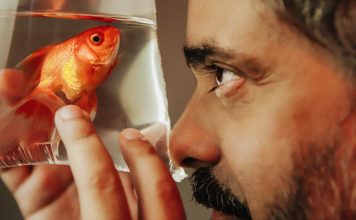 O testamento musical em vida de André Mussalem O cantor e compositor André Mussalem. Foto: Rafaela Amorim. Divulgação