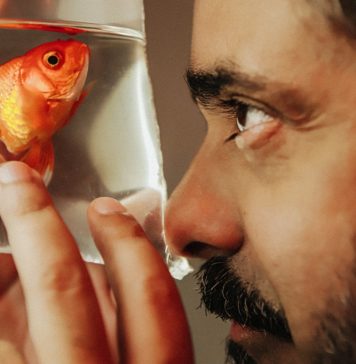 O testamento musical em vida de André Mussalem O cantor e compositor André Mussalem. Foto: Rafaela Amorim. Divulgação