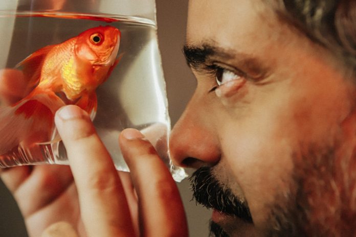 O testamento musical em vida de André Mussalem O cantor e compositor André Mussalem. Foto: Rafaela Amorim. Divulgação