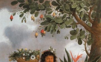 Livro inédito que trata da formação nacional sai após 140 anos