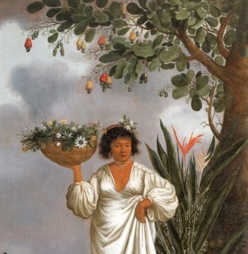 Livro inédito que trata da formação nacional sai após 140 anos