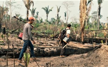 ‘O Território’ marca o Dia da Amazônia em São Paulo