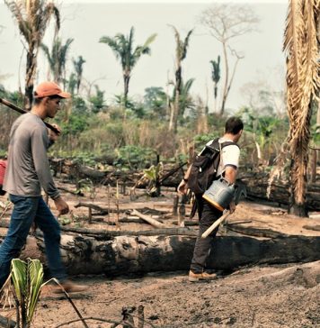 ‘O Território’ marca o Dia da Amazônia em São Paulo