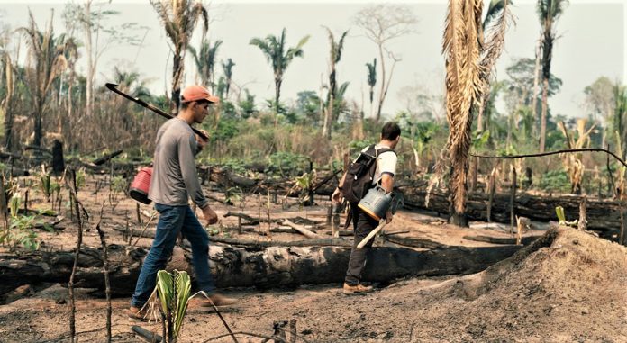 ‘O Território’ marca o Dia da Amazônia em São Paulo