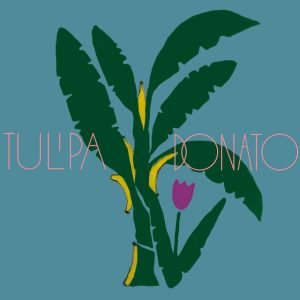 "Tulipa-Donato" (2019)