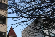 Antiga igreja protestante vira livraria em Porto Alegre