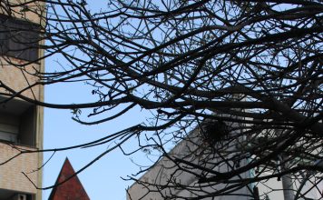 Antiga igreja protestante vira livraria em Porto Alegre