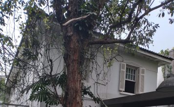 A última sessão de cinema