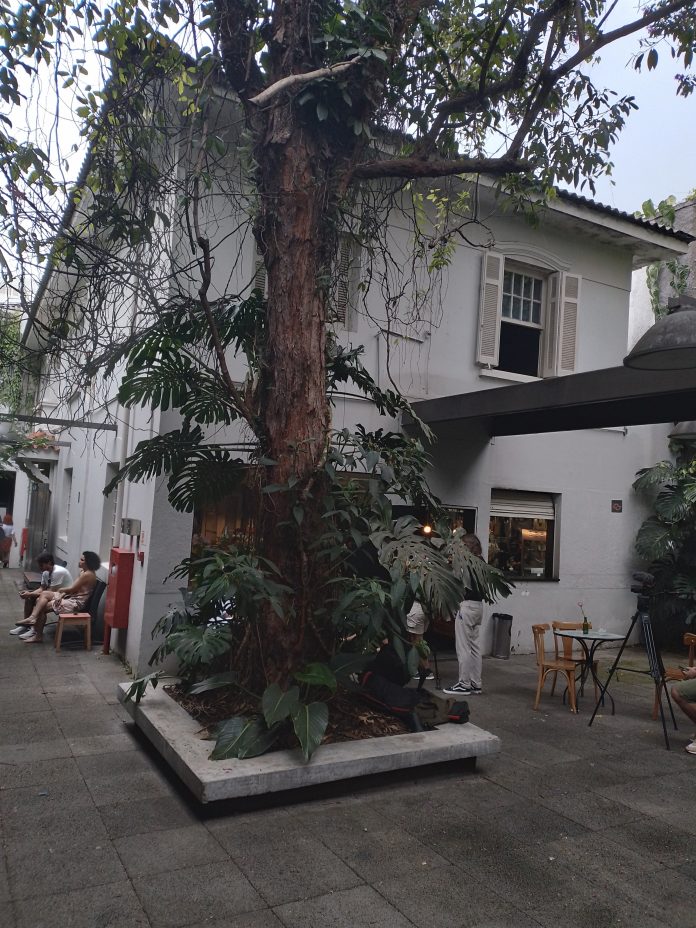 A última sessão de cinema