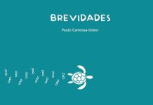 Entre a ficção e a realidade, a síntese Brevidades. Capa. Reprodução