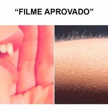 Sai resultado de edital para filmes da Região Norte