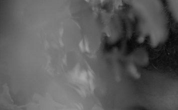 40 anos da imensa poesia de Rodrigo Garcia Lopes