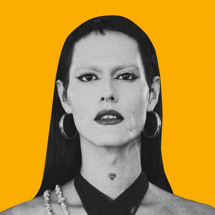 De aniversariante para aniversariante "Belezas São Coisas Acesas Por Dentro". Capa. Reprodução