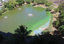 O afogamento da lagoa