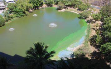 O afogamento da lagoa